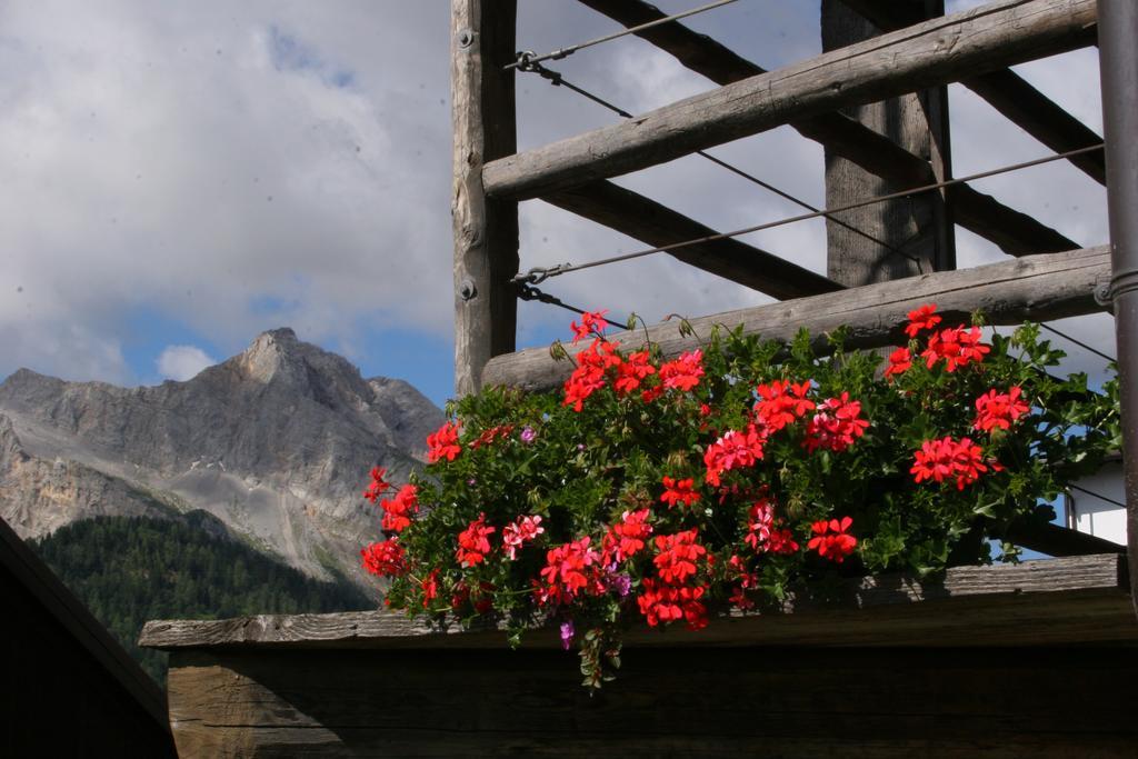 Albergo Diffuso Sauris In Sauris Di Sopra Buitenkant foto
